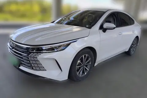 BYD Destroyer 05 2024