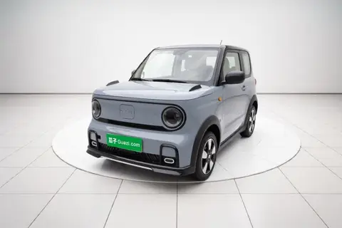 Geely Panda 2024