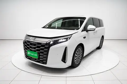 BYD Xia 2024