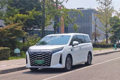 BYD Xia 2024