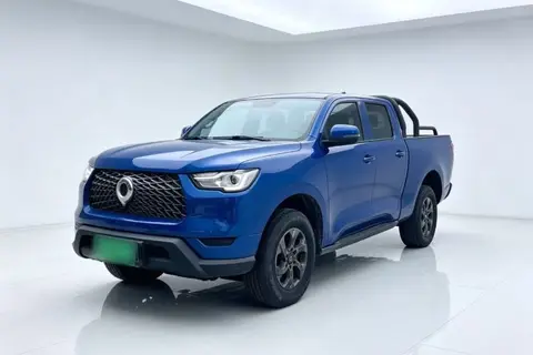 Great Wall Poer 2022