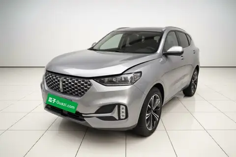 Wey VV6 2020