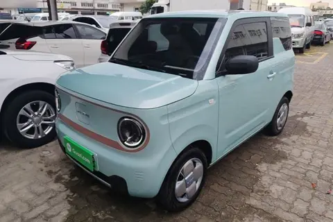 Geely Panda 2024