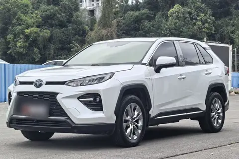 Toyota Wildlander 2020