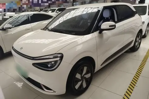 Dongfeng Nammi 01 2025