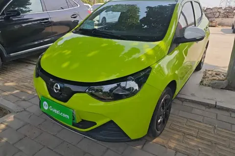 Jiangling Xiao Qilin 2022