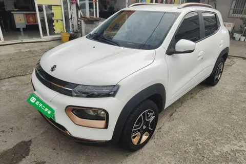 Dongfeng Nammi Box 2024