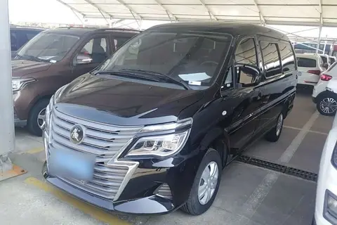 Forthing Lingzhi 2023
