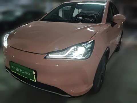NETA V 2022
