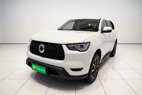 Great Wall Poer 2022