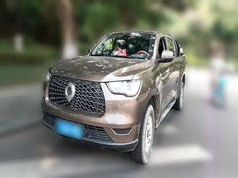 Great Wall Poer 2020
