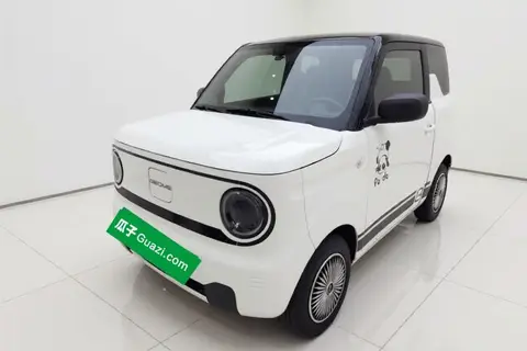 Geely Panda 2024
