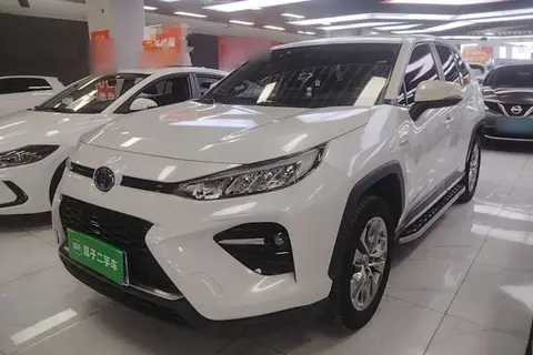 Toyota Wildlander 2020
