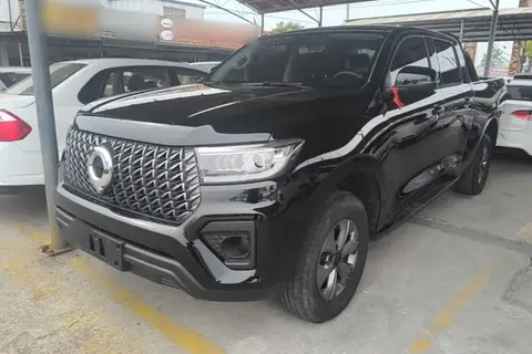 Great Wall Poer 2025