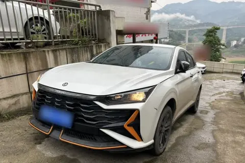 Dongfeng Shine 2024