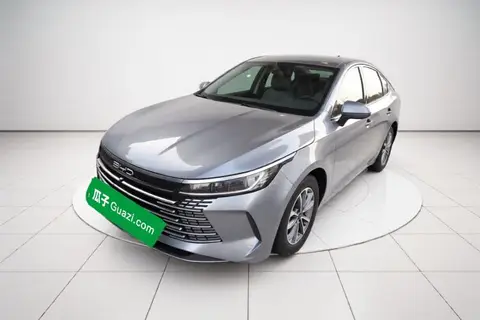 BYD Destroyer 05 2024