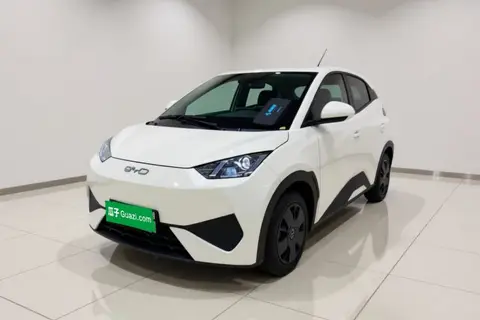 BYD Seagull 2025