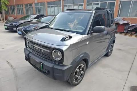 Geely Panda 2024