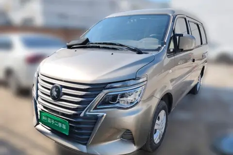 Forthing Lingzhi 2024