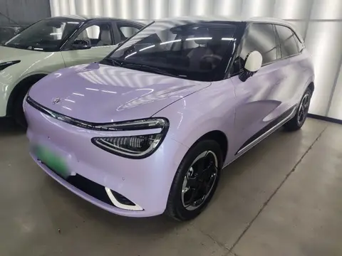 Dongfeng Nammi 01 2024