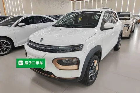 Dongfeng Nammi Box 2024