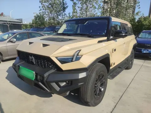 Mengshi 917 2023
