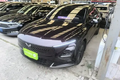 Wuling Xingguang 2024