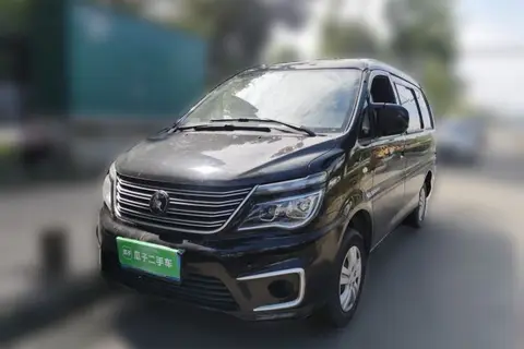 Forthing Lingzhi 2022