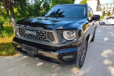 Haval H Dog 2025