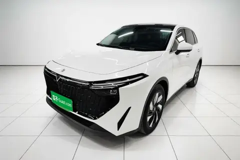 Venucia V 2023
