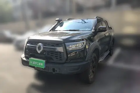 Great Wall Poer 2020