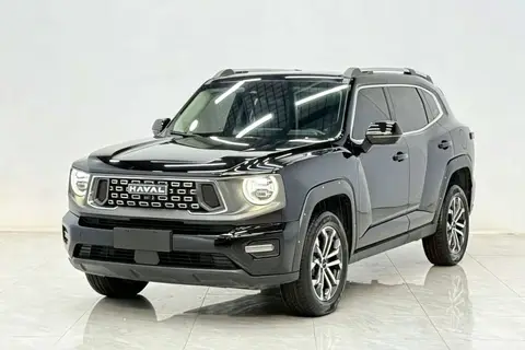 Haval H Dog 2023