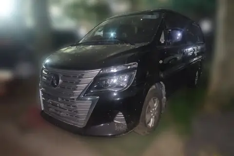 Forthing Lingzhi 2025