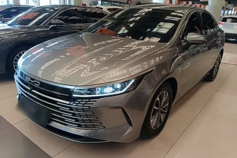 BYD Destroyer 05 2024