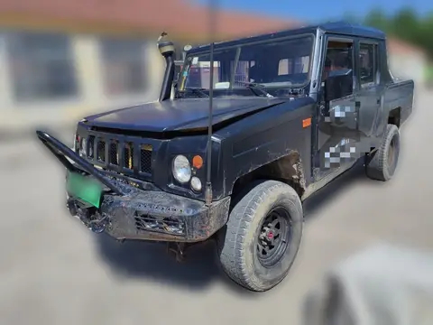 BAW Warrior Pickup 2010
