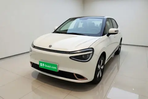 Dongfeng Nammi 01 2025