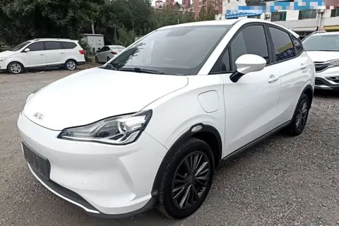 NETA V 2023