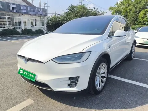 Tesla Model X 2019