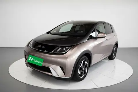 BYD Dolphin 2021
