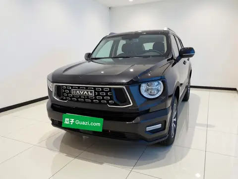 Haval H Dog 2023