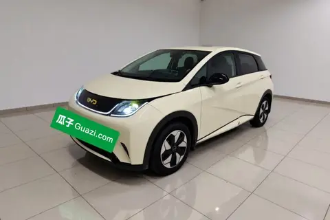 BYD Dolphin 2024