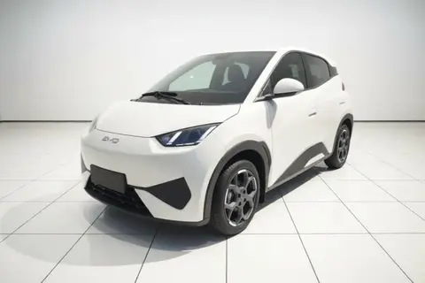 BYD Seagull 2026