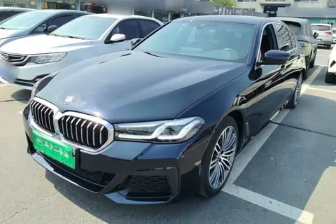 BMW 5 Series New Energy 2021