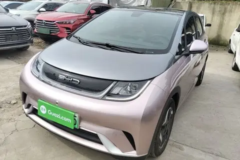 BYD Dolphin 2022