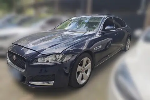 Jaguar XFL 2019
