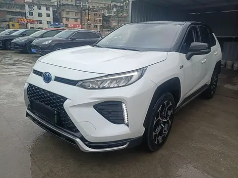 Toyota Wildlander 2021