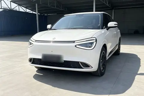 Dongfeng Nammi 01 2024