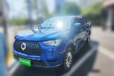 Great Wall Poer 2020
