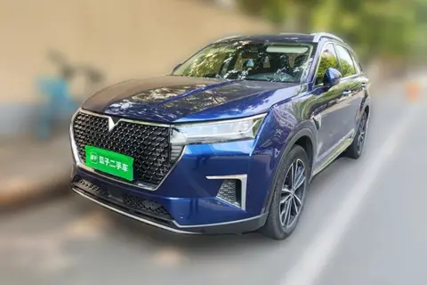 Venucia Star 2020