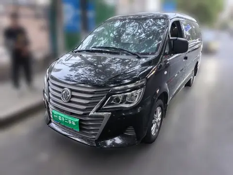 Forthing Lingzhi 2020